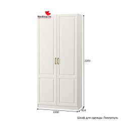 Шкаф для одежды Ливерпуль (2203x1000x414)